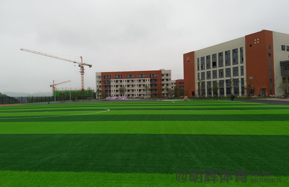 什邡人造草坪足球场