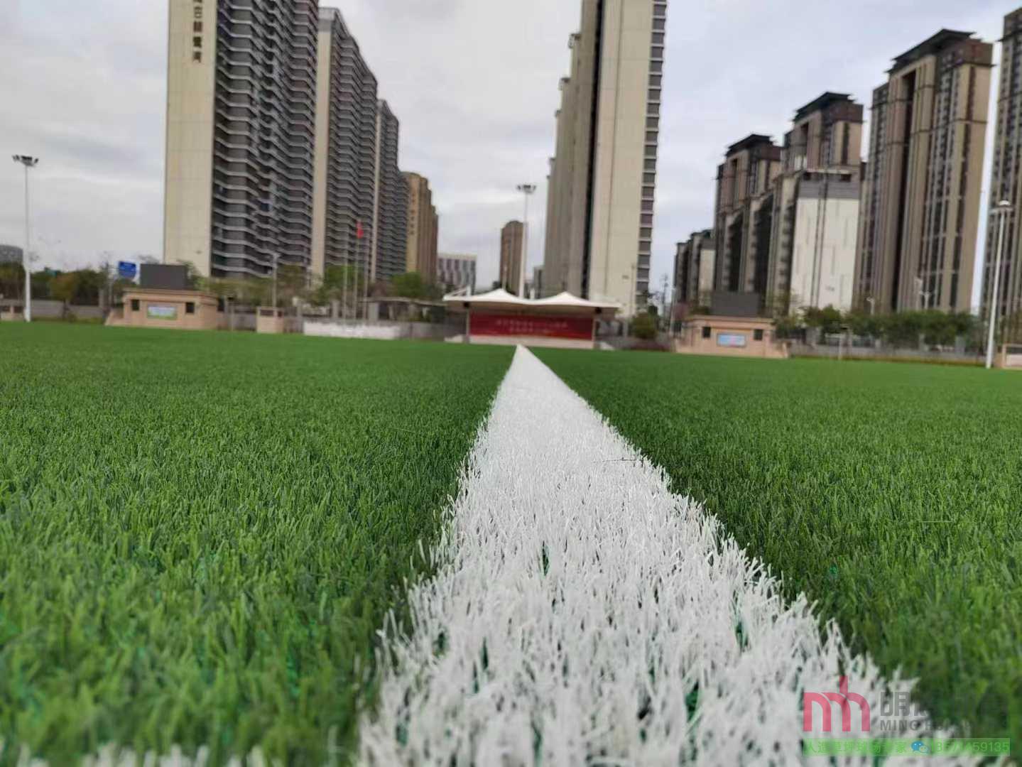 厦门人造草足球场
