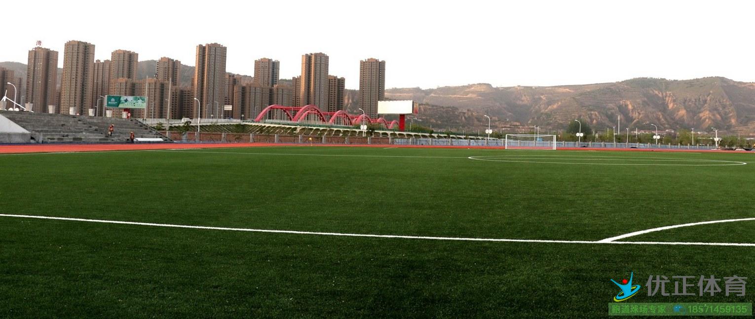 武威人造草坪足球场